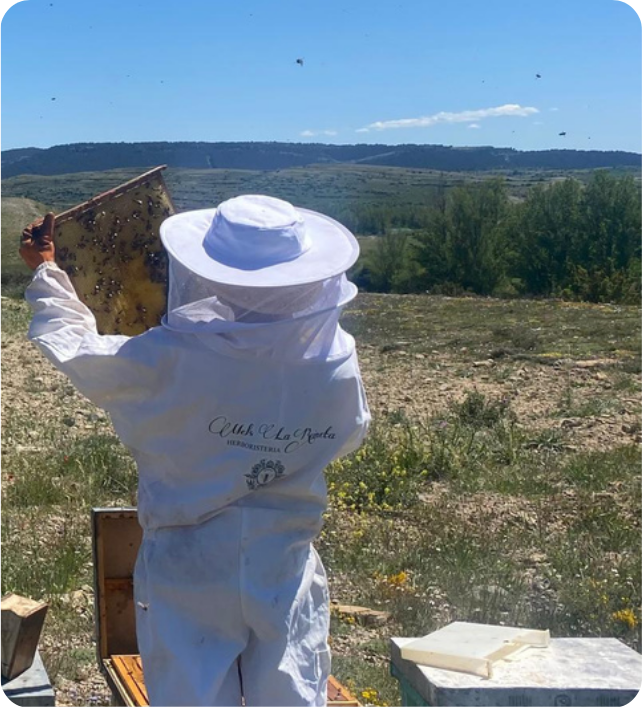 Apicultor trabajando en colmena de apicultura artesanal Mels La Reineta.