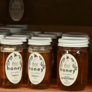 Frascos de miel de diferentes sabores - Mels La Reineta