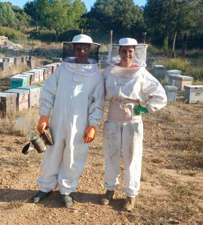 Equipo de apicultores trabajando en la finca de Mels La Reineta, usando trajes protectores en el colmenar.