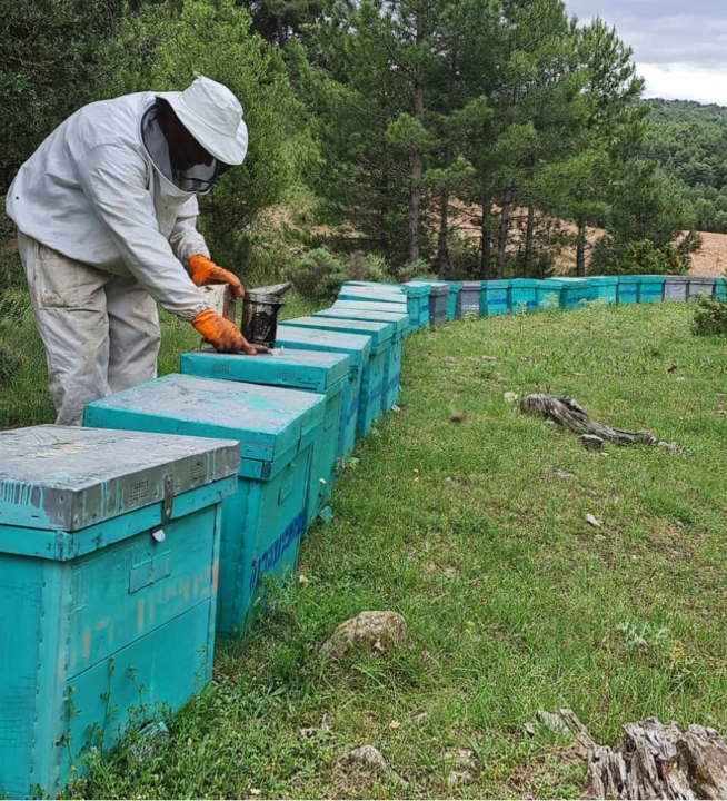 Quienes somos1 editada