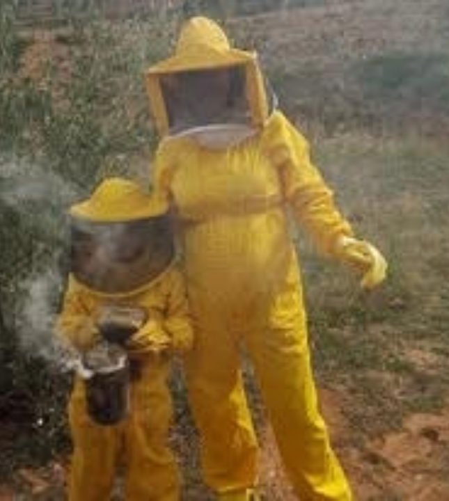 Quienes somos3 editada