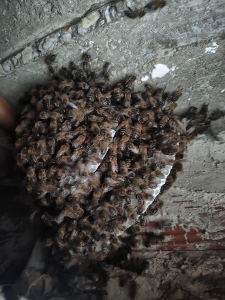 filter: 0; fileterIntensity: 0.0; filterMask: 0; hdrForward: 0; highlight: false; module: photo;hw-remosaic: false;touch: (-1.0, -1.0);sceneMode: 2097152;cct_value: 0;AI_Scene: (-1, -1);aec_lux: 0.0;aec_lux_index: 0;HdrStatus: auto;albedo: ;confidence: ;motionLevel: -1;weatherinfo: null;temperature: 28;