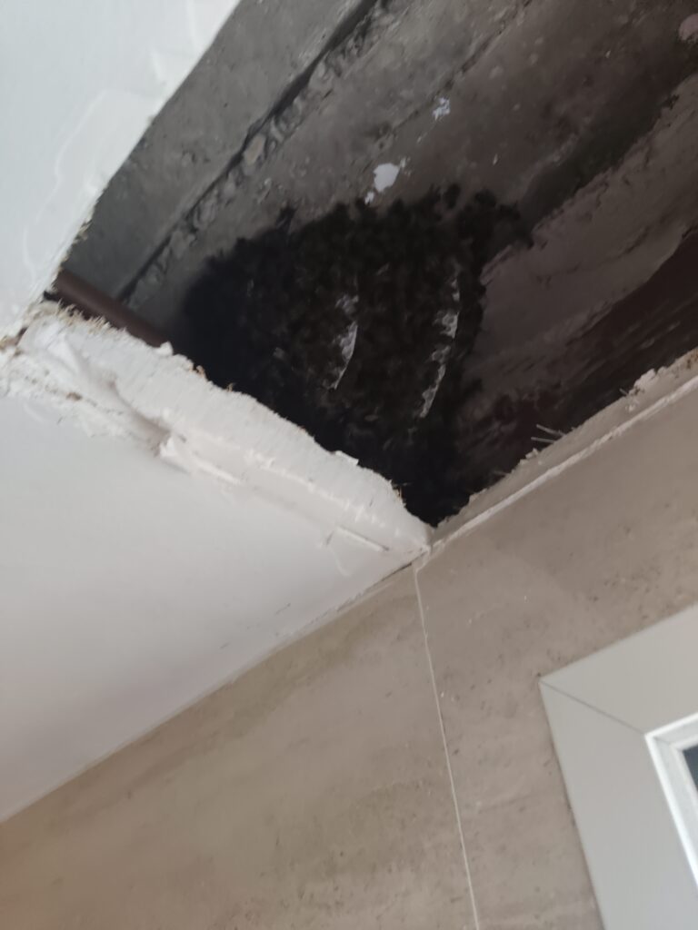 filter: 0; fileterIntensity: 0.0; filterMask: 0; hdrForward: 0; module: photo;hw-remosaic: false;touch: (-1.0, -1.0);sceneMode: 8;cct_value: 0;AI_Scene: (-1, -1);aec_lux: 0.0;aec_lux_index: 0;HdrStatus: auto;albedo: ;confidence: ;motionLevel: -1;weatherinfo: null;temperature: 28;