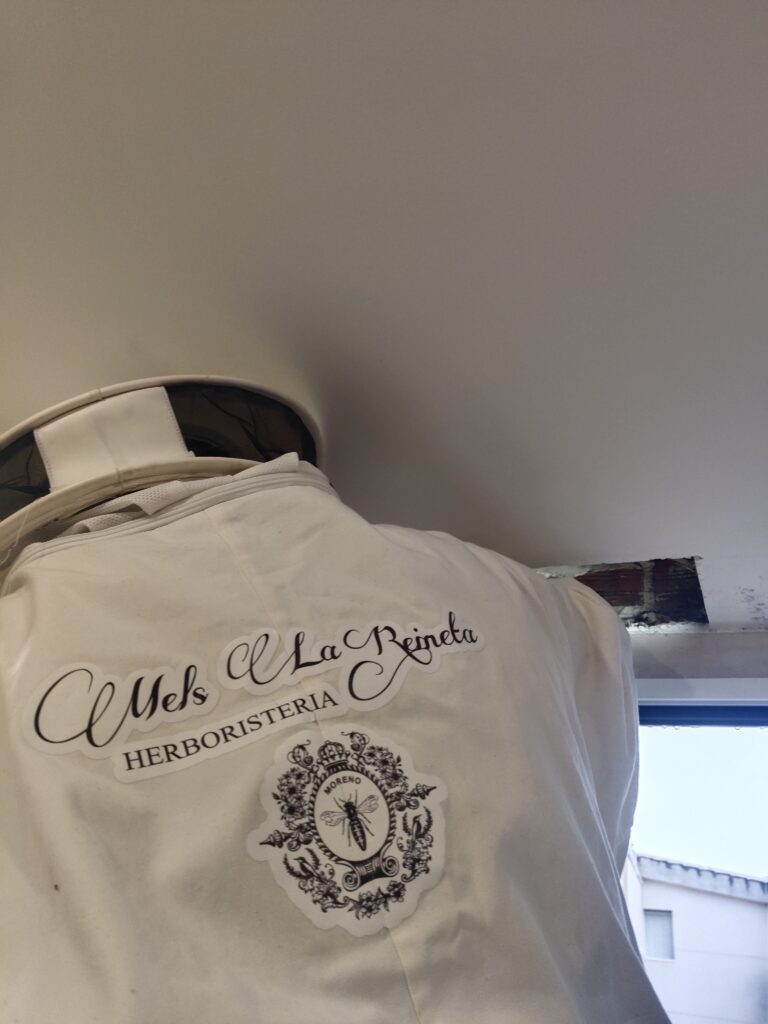 filter: 0; fileterIntensity: 0.0; filterMask: 0; module: photo;hw-remosaic: false;touch: (-1.0, -1.0);sceneMode: 2;cct_value: 0;AI_Scene: (-1, -1);aec_lux: 0.0;aec_lux_index: 0;HdrStatus: auto;albedo: ;confidence: ;motionLevel: -1;weatherinfo: null;temperature: 30;