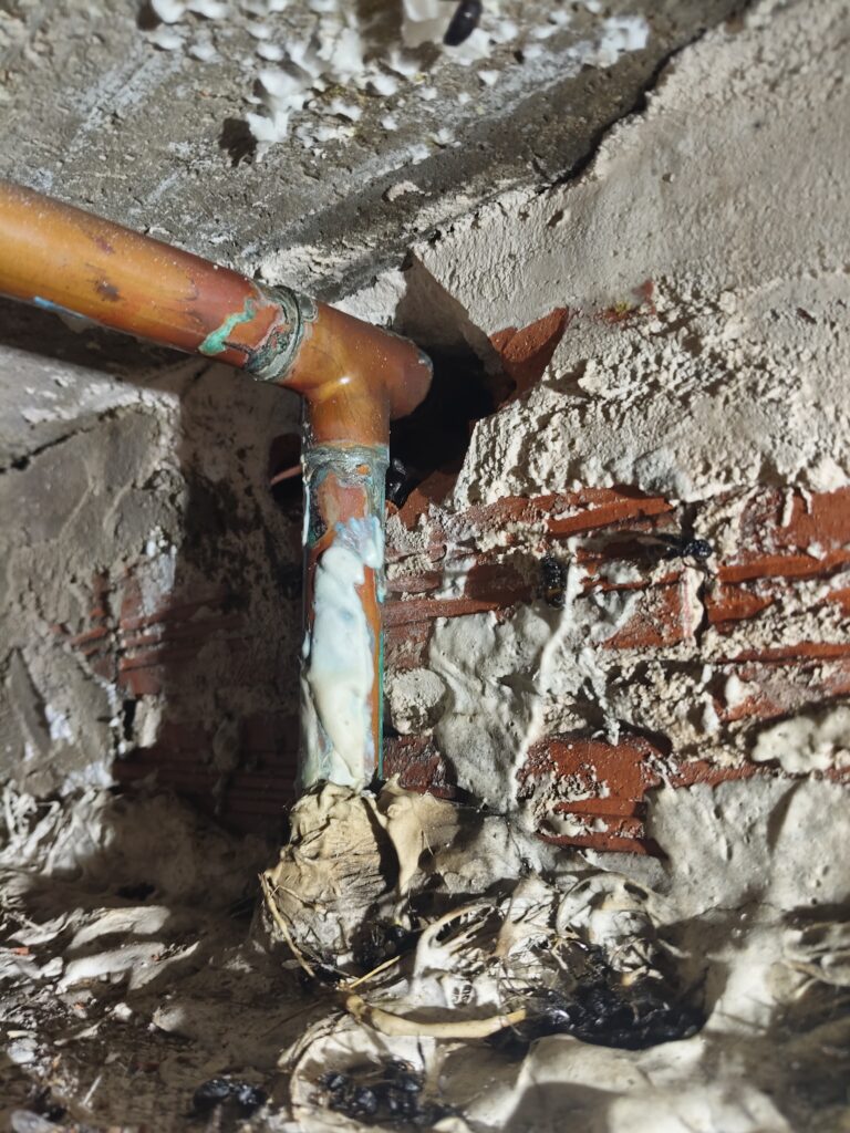 filter: 0; fileterIntensity: 0.0; filterMask: 0; hdrForward: 0; highlight: false; module: photo;hw-remosaic: false;touch: (-1.0, -1.0);sceneMode: 3145728;cct_value: 0;AI_Scene: (-1, -1);aec_lux: 0.0;aec_lux_index: 0;HdrStatus: auto;albedo: ;confidence: ;motionLevel: -1;weatherinfo: null;temperature: 30;